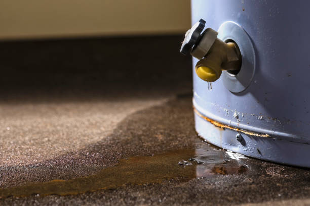 Best Water damage restoration near me  in Corydon, IN