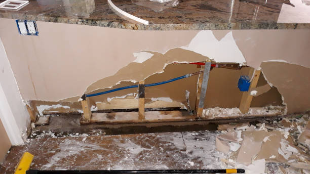 Best Professional water damage repair  in Corydon, IN