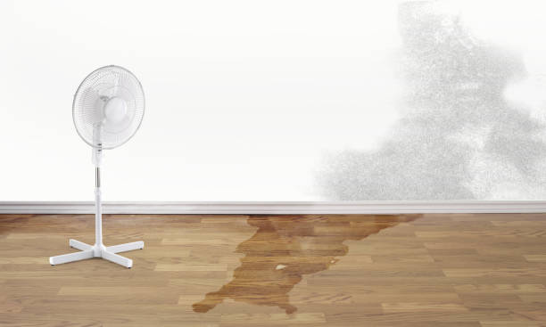 Best Water damage restoration near me  in Corydon, IN