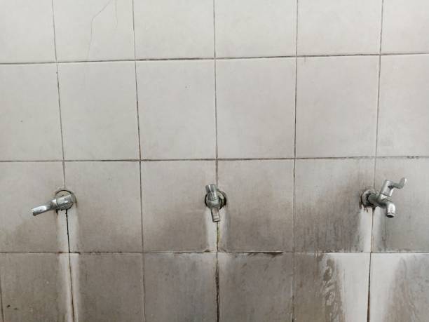 Best Ceiling water damage repair  in Corydon, IN
